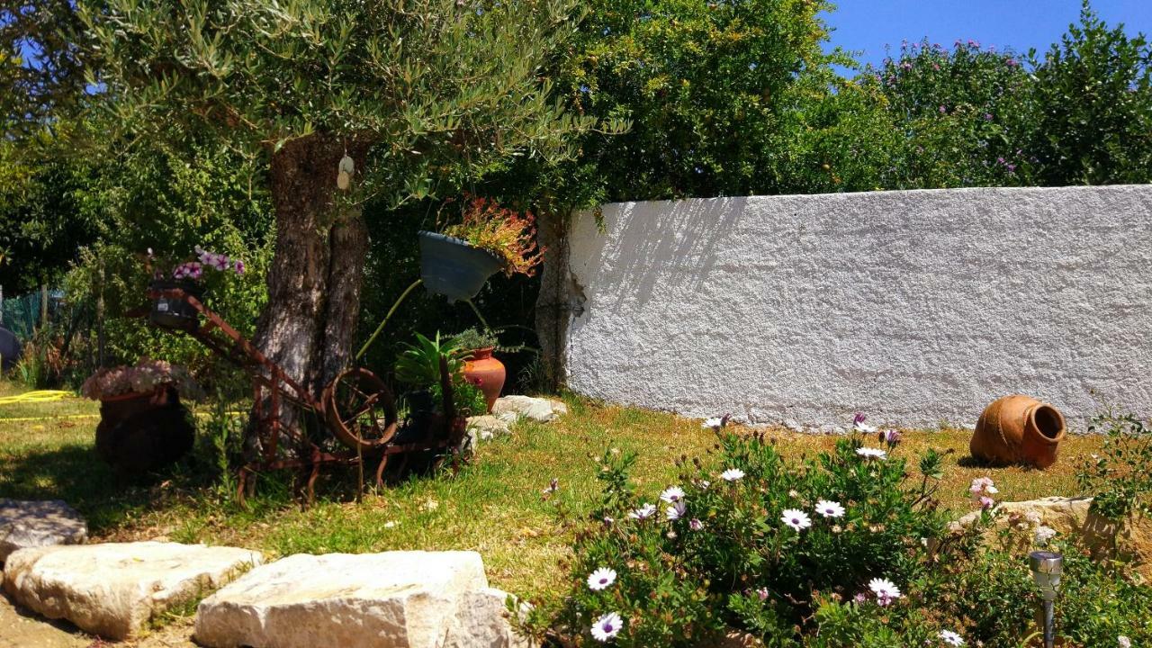 Louro'S Villa - 12130Al Cantanhede Kültér fotó