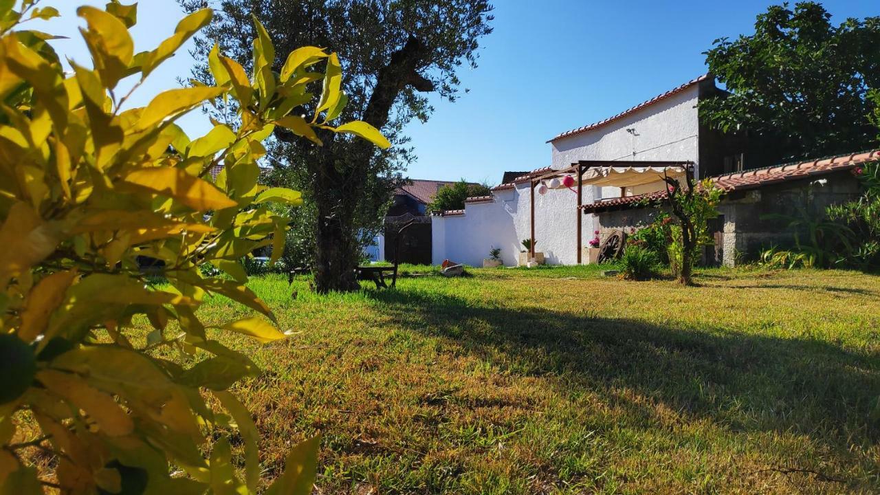 Louro'S Villa - 12130Al Cantanhede Kültér fotó